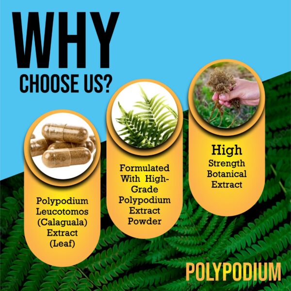 Version 1.0.0 Complemento vitaminas para salud natural piel sensible y protección