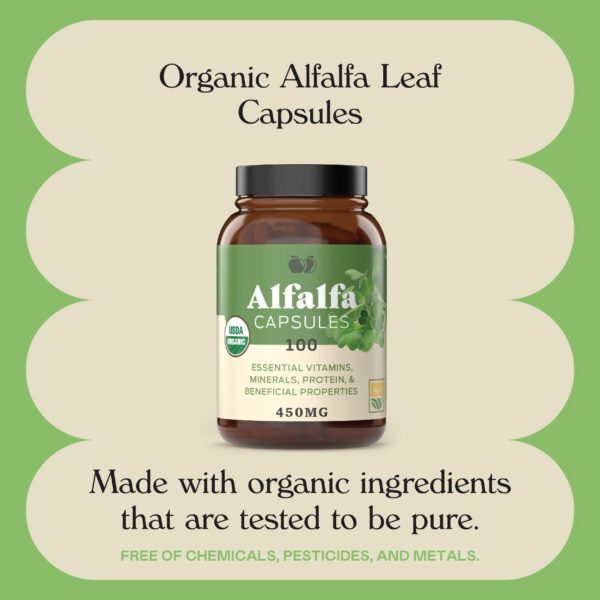 Version 1.0.0 Complete Natural Products alfalfa orgánica 100 cápsulas