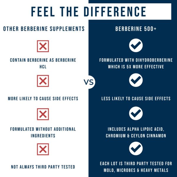 Composición Dr Westin Childs Berberina 500+ con ácido lipoico