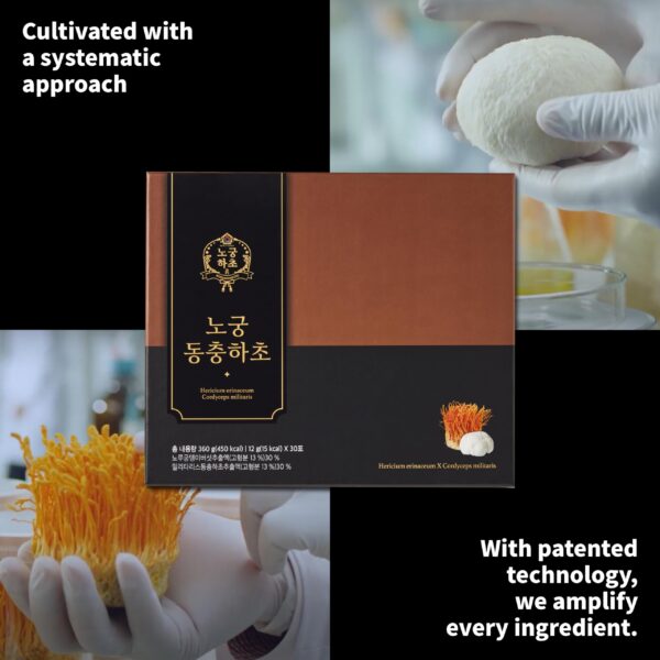 Nogung Hacho CordLion - comunidad de bienestar