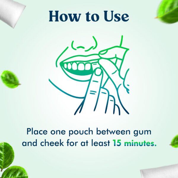 Version 1.0.0 Conjunto de 5 bolsas Zennies en estuche