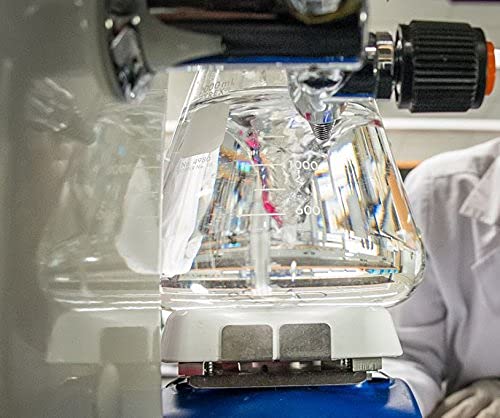 Conjunto de envases del producto