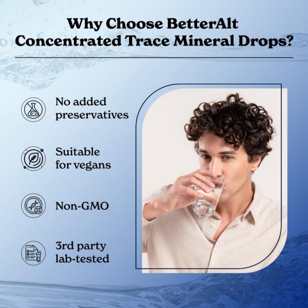 Contenedor visual con 96 porciones