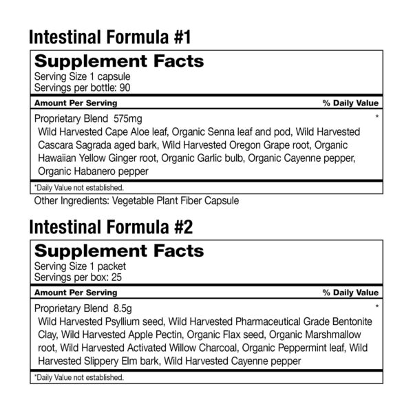 Contenido Detox intestinal 5 días para mejorar digestión