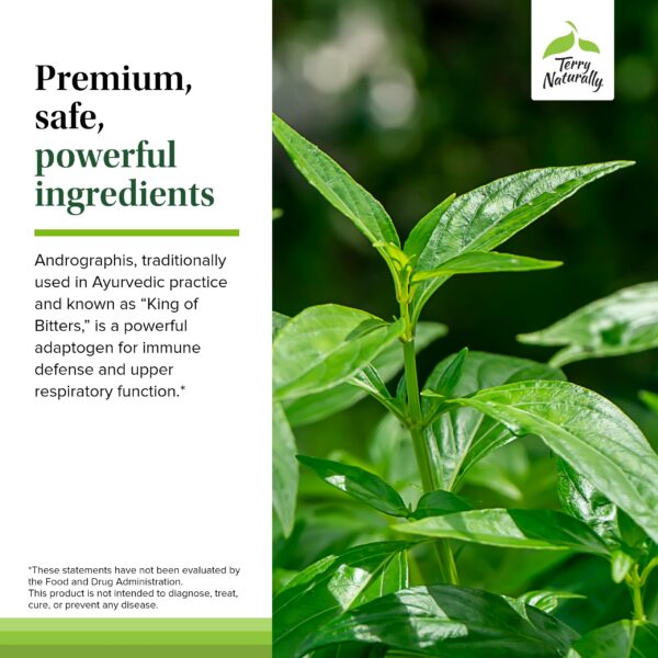 Contenido frasco capsulas Andrographis EP80 Terry Naturally