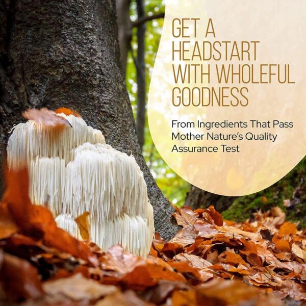 Contenido LRLA SUPERFOODS Super 7 polvo hongos