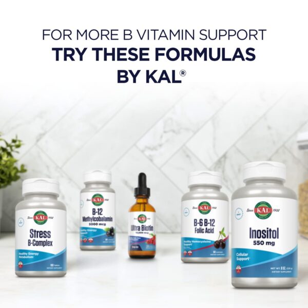 Version 1.0.0 Contenido tabletas niacina Kal sabor fresa 200 unidades