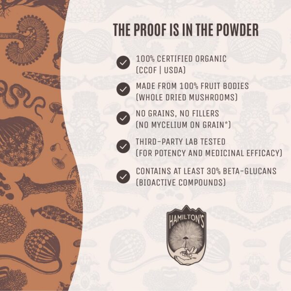 Cordyceps en polvo vegano y no-GMO