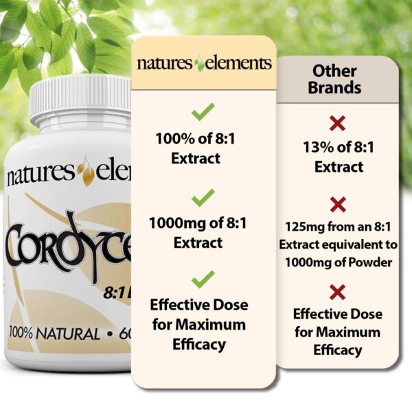 Cordyceps sin gluten y sin OMG