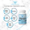 Cordyceps Sinensis para mejorar la energía