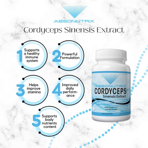 Cordyceps Sinensis para mejorar la energía