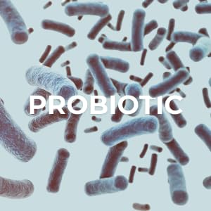 Version 1.0.0 Ingredientes Probiotic-C Jelly Sticks