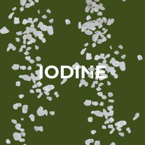 Frasco de tabletas yodo de algas