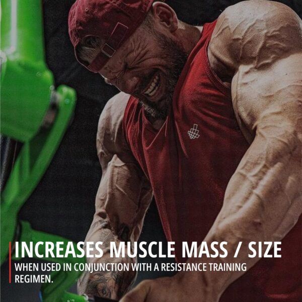 Version 1.0.0 Frasco dentro de caja con etiqueta