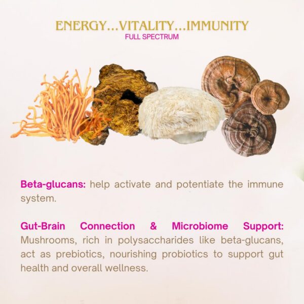 Detalle del envase de polvo de reishi