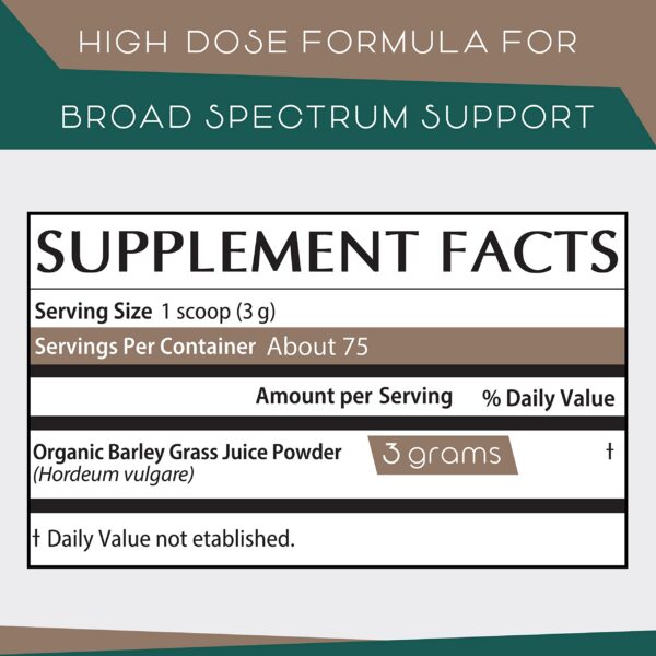 Cucharada de polvo de cebada orgánico para continuidad de salud