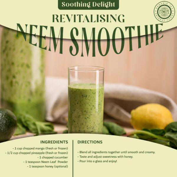 Cucharada con polvo de Neem para superalimento nutricional