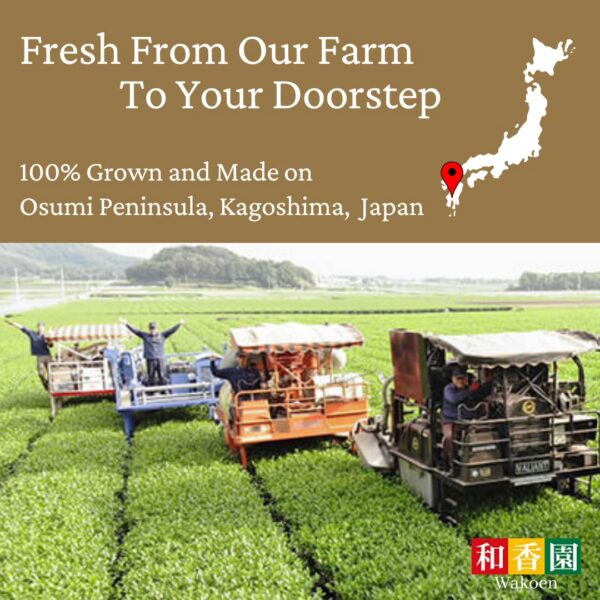 Version 1.0.0 Cucharada de polvo de té verde Houjicha de Wakoen