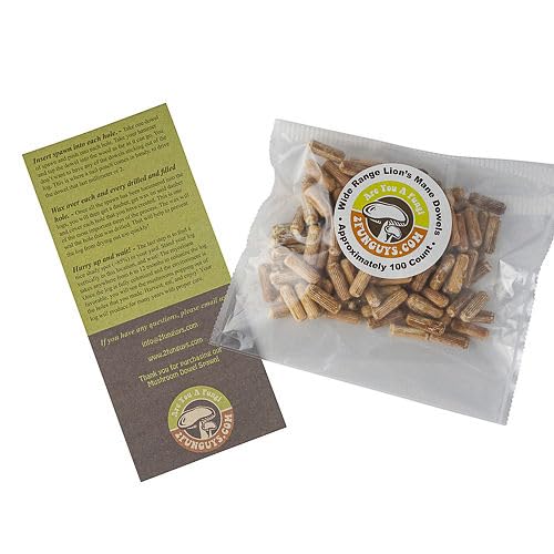 Cultivo hongo medicinal Melena de León con clavos dowel spawn