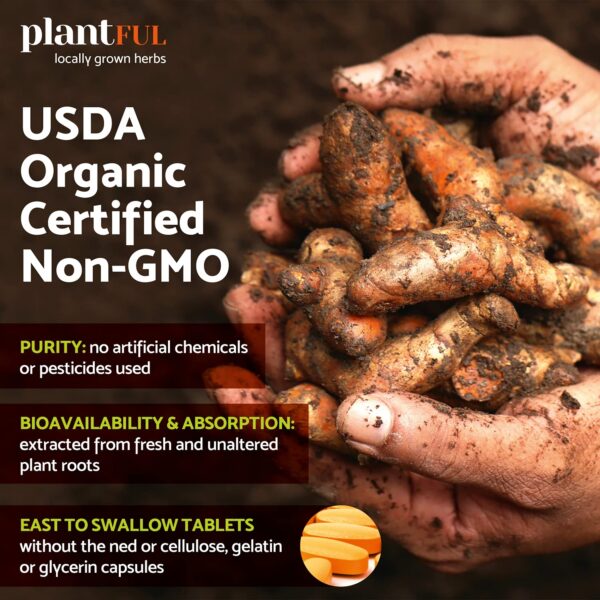 Cúrcuma con pimienta negra para salud y bienestar general