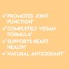 Cúrcuma vegana antioxidante potente para apoyo articular