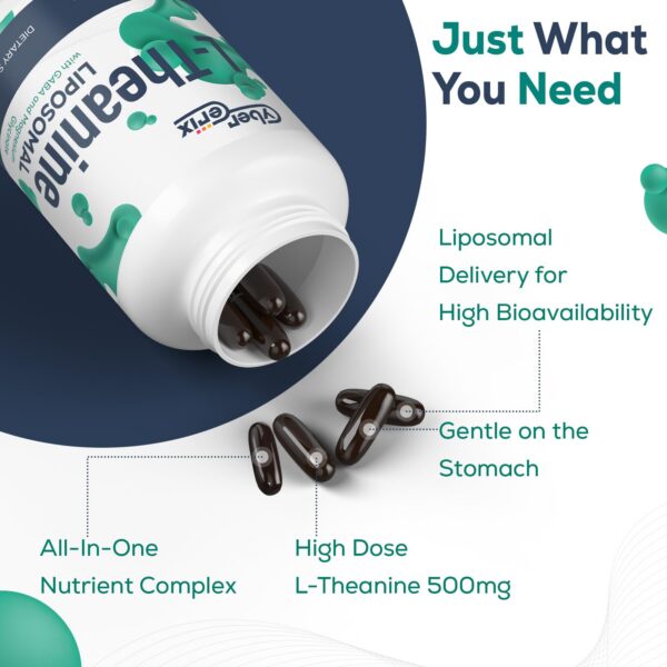 caja del producto CyberCerix