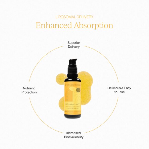 Version 1.0.0 Detalle de sistema de absorción liposomal