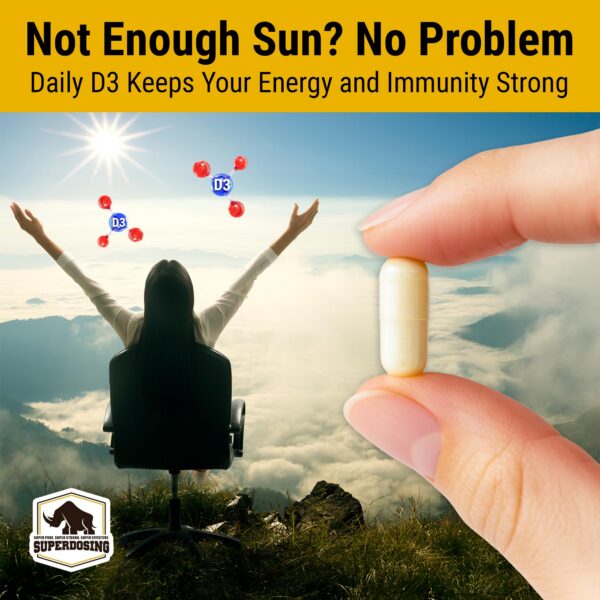 Caja y contenido D3-K2