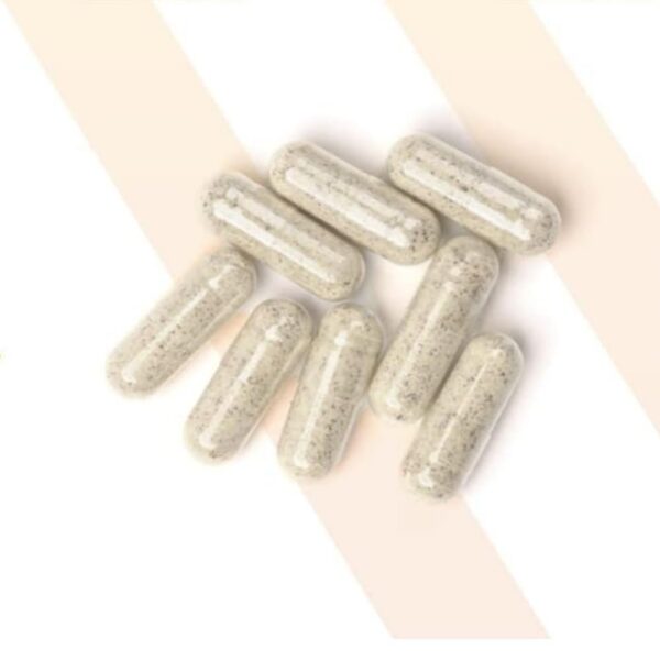 Version 1.0.0 Daily Zen suplemento con ingredientes para calma y bienestar mental