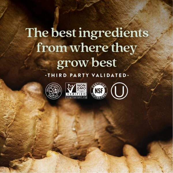 Version 1.0.0 Detalle caja suplemento vitamina B complejo New Chapter fermentado orgánico