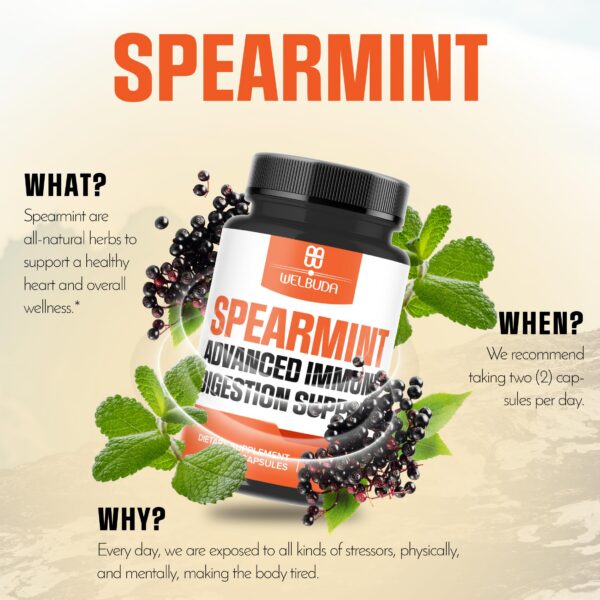 Detalle cápsula vegetal WELBUDA 1000mg hierbabuena