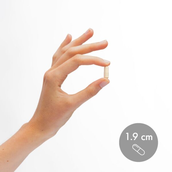 Detalle cápsula vitamina D3 K2 Dr Mercola