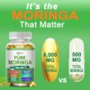 Detalle cápsulas blandas Moringa para salud y energía natural