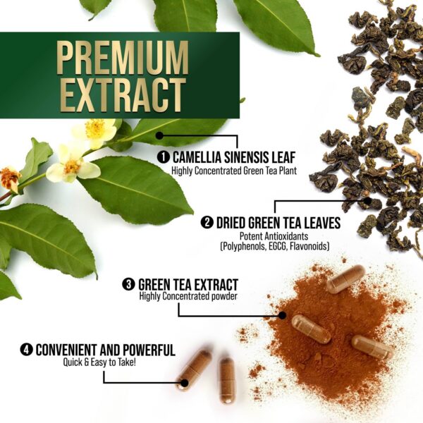 Detalle cápsulas extracto de té verde 1000mg 98% EGCG