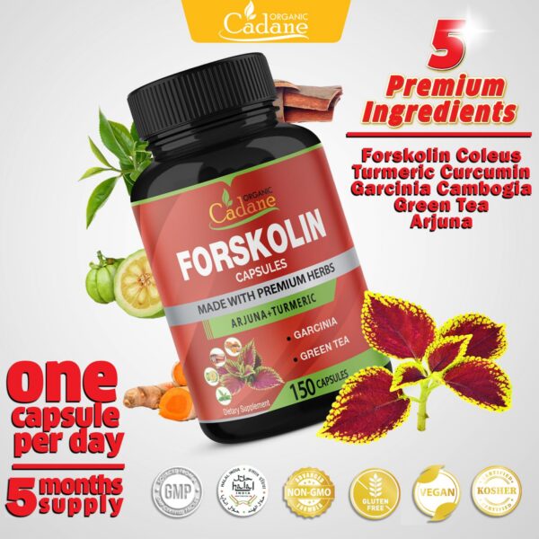 Detalle cápsulas orgánicas Cadane Forskolin