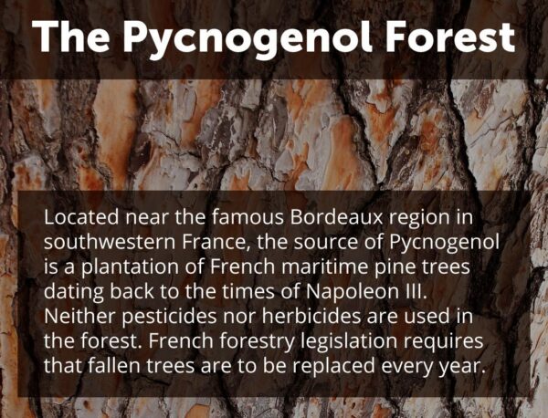 Version 1.0.0 Detalle de cápsulas de Pycnogenol Dr. Whitaker