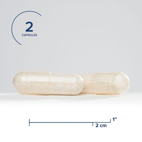 Detalle de cápsulas Seeking Health digestión intensiva