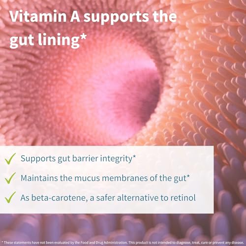 Detalle composición probióticos Igennus Lab4