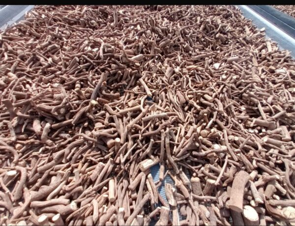 Detalle de empaque de kava Noble