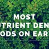 Detalle etiqueta Buy Wellness polvo chlorella superalimento