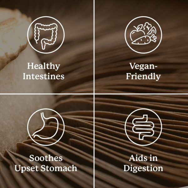 Detalle de la etiqueta de Proactazyme