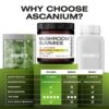 Detalle etiqueta suplemento Ascanium con 10 hongos variados