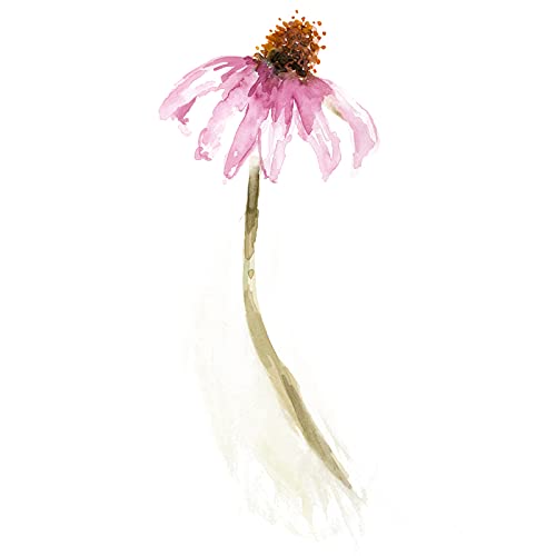 Detalle del frasco Maui Medicinal Herbs extracto sin alcohol