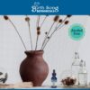 Detalle gota tintura sueño natural Birth Song Botanicals
