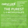 Version 1.0.0 Detalle de ingredientes en Methyl-Life B-Methylated II