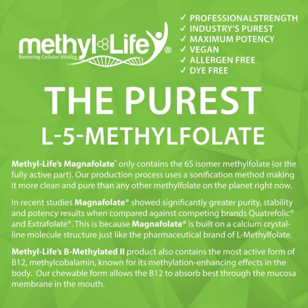 Version 1.0.0 Detalle de ingredientes en Methyl-Life B-Methylated II