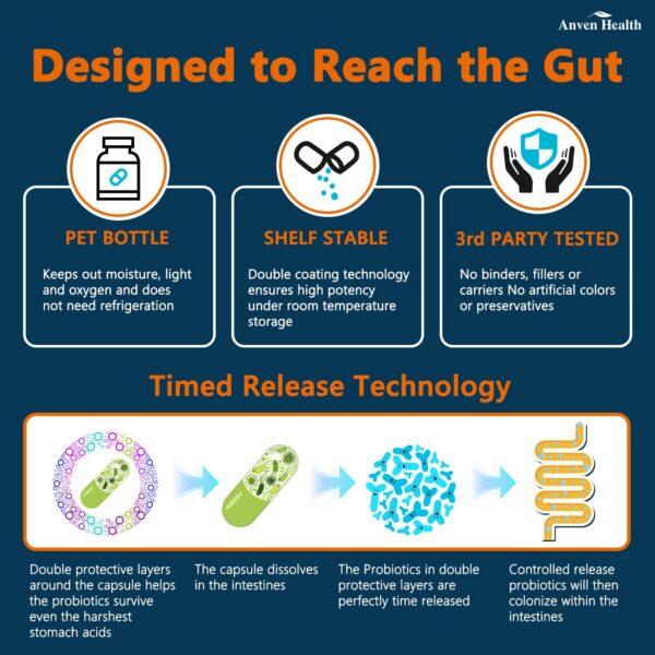 Detalle ingredientes naturales probióticos Anven Health