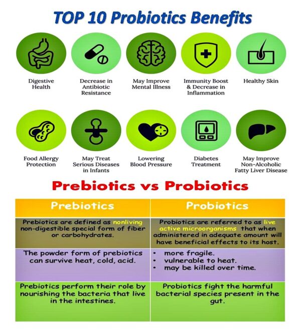 Detalle ingredientes y prebiótico inulina en NOVA Probiotics