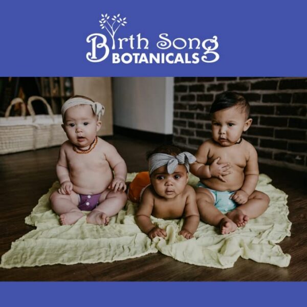 Detalle ingredientes tintura herbal Birth Song Botanicals