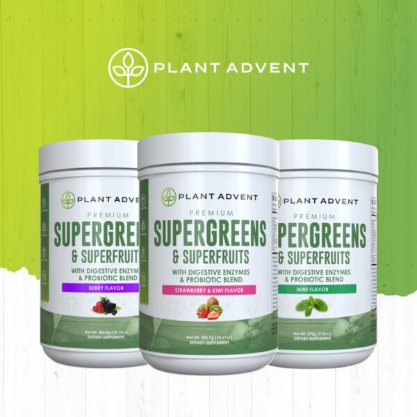 Version 1.0.0 Detalle paquete trasero polvo Plant Advent